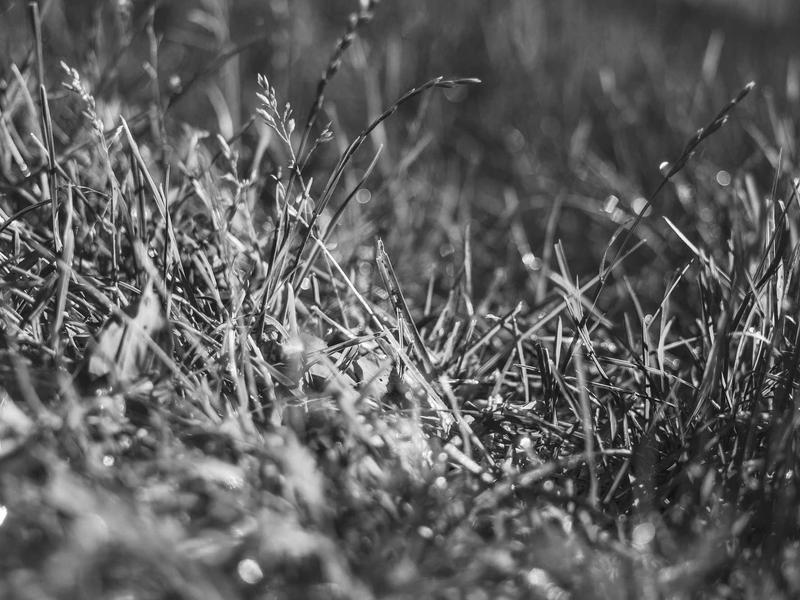 sudoku classic screenshot 1